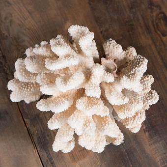 Vintage Coral 3