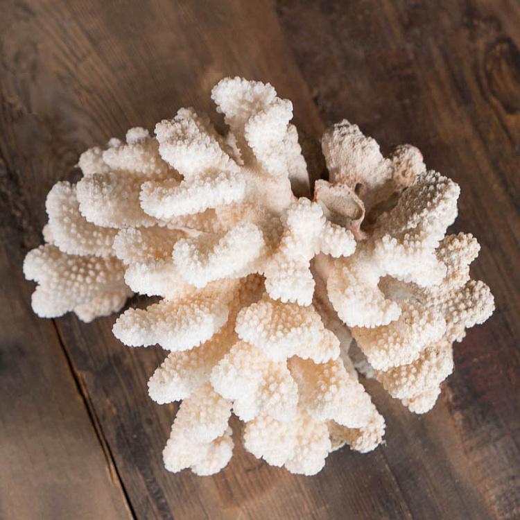 Винтажный натуральный морской коралл 3 Vintage Coral 3