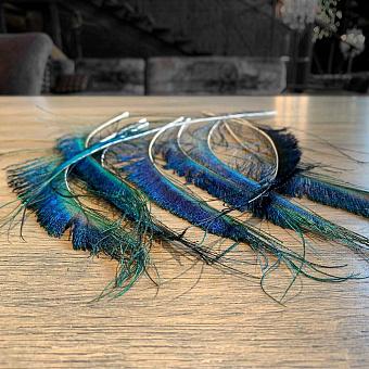 Винтажное перо павлина Vintage Peacock Feather Without Eye