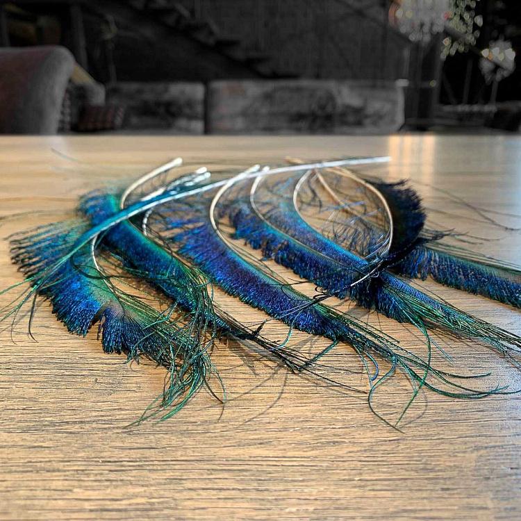 Vintage Peacock Feather Without Eye