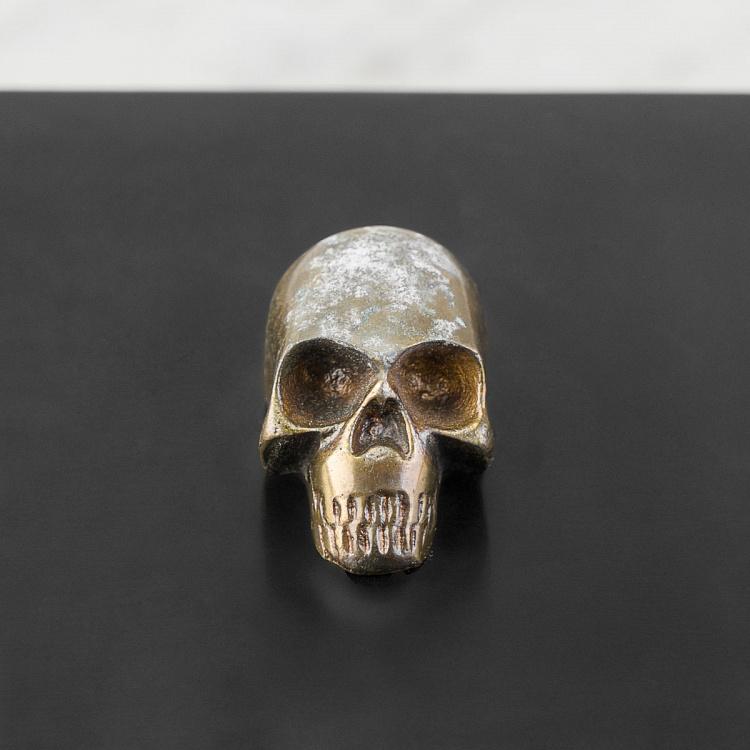 Шкатулка для украшений с черепом на крышке Skull On Lid Box
