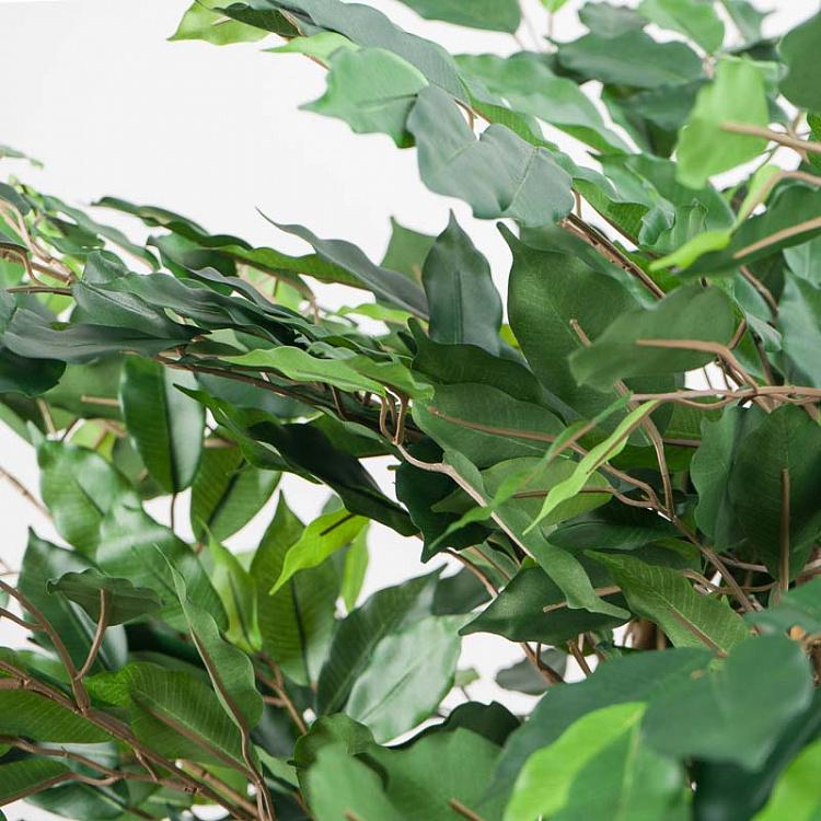 Искусственный фикус Лиана Де люкс, M De Luxe Ficus Liana 210 cm