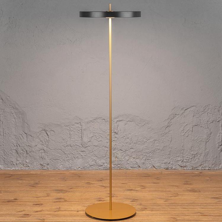 Asteria Floor Lamp