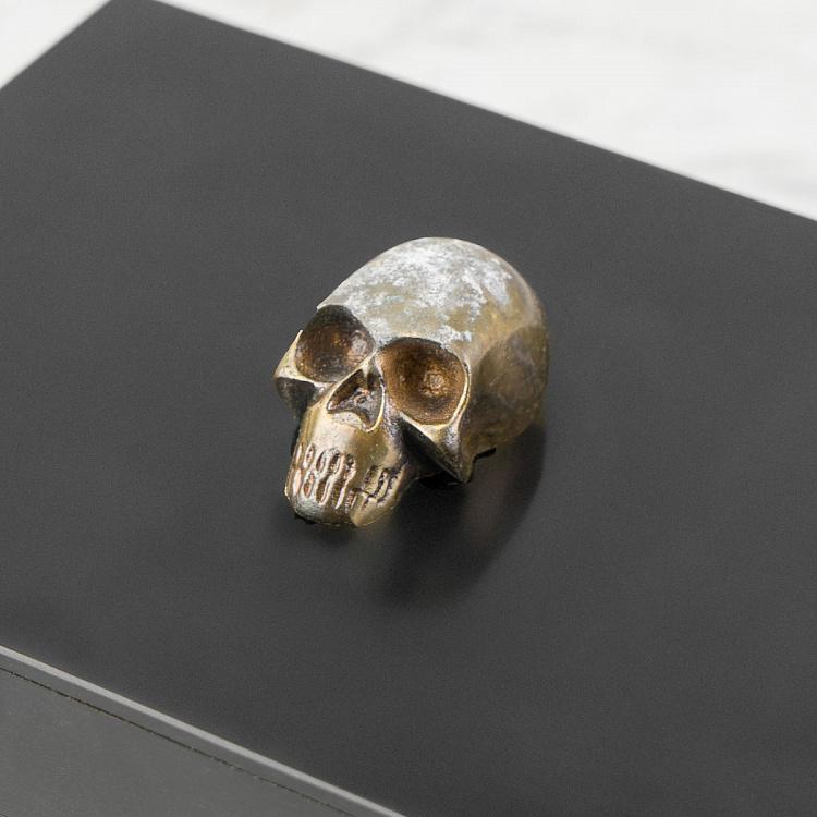 Шкатулка для украшений с черепом на крышке Skull On Lid Box