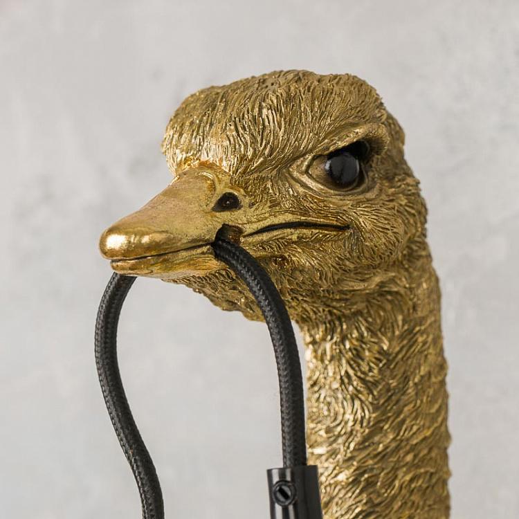 Бра Страусёнок Франц Иосиф Wall Lamp Baby Ostrich Franz Josef