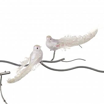 Набор из 2-х ёлочных игрушек Set Of 2 Fabric Plume Birds On Clip White 18 cm