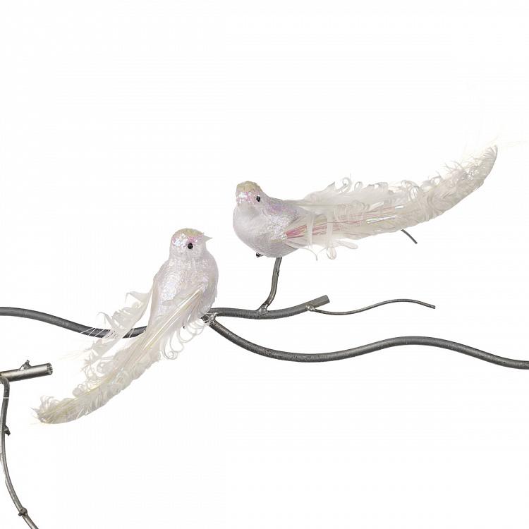 Set Of 2 Fabric Plume Birds On Clip White 18 cm