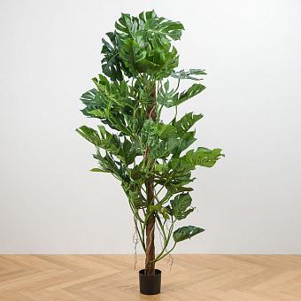 Искусственное растение Monstera Tree Trunk 205 cm