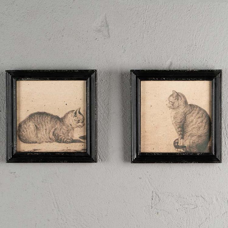 Набор из двух картин-принтов без стекла Коты Set Of 2 Frames With Cats Without Glass