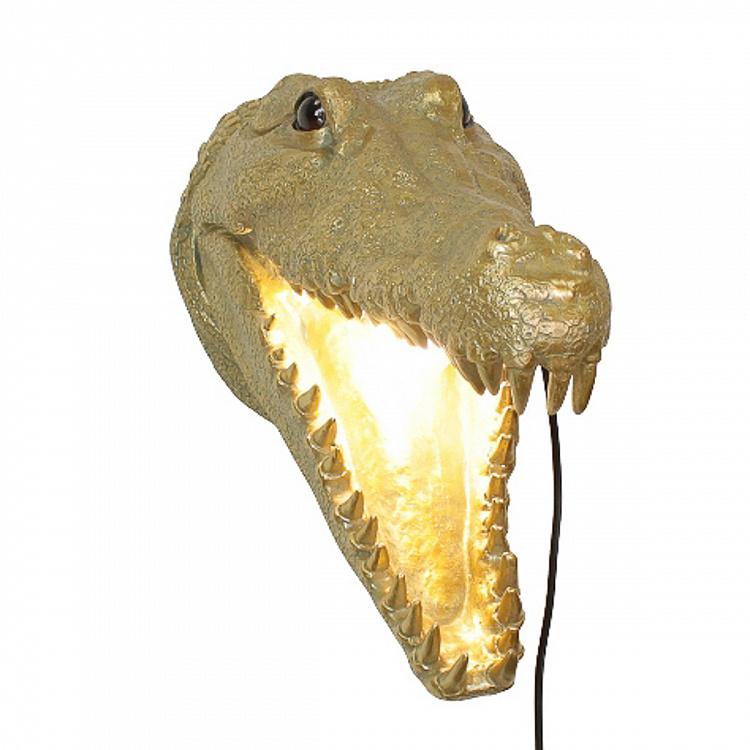 Бра Аллигатор Альберто Wall Lamp Alberto Alligator