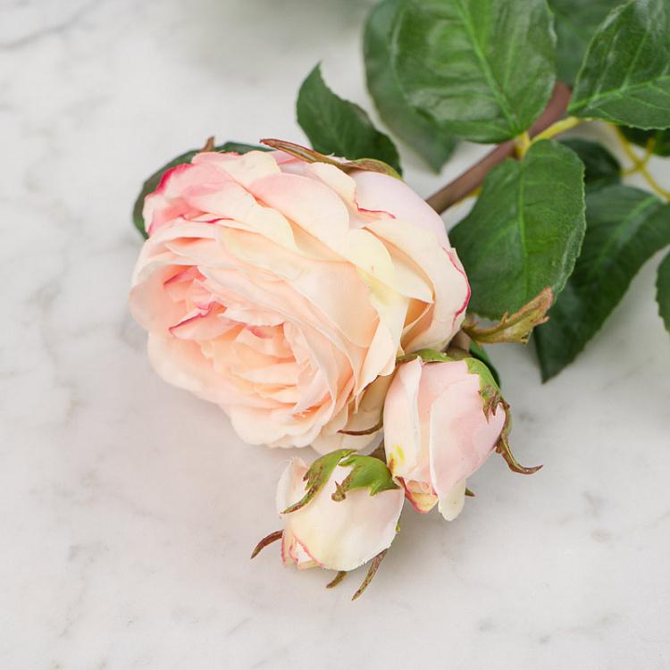 Искусственная роза Дэвид Остин кремово-розовая с лаймовым David Austin Rose Creamy Pink With Lime 50 cm