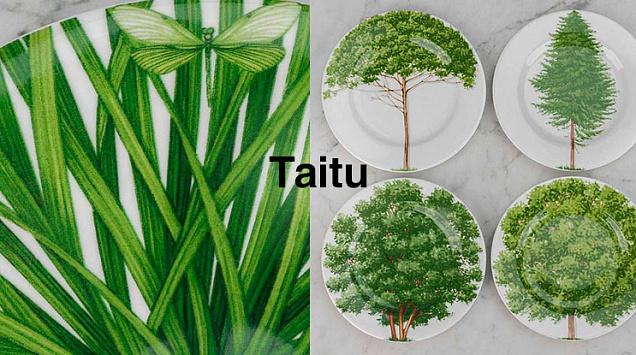 Зелёная терапия для глаз вместе с новинками дизайнерской посуды Taitu