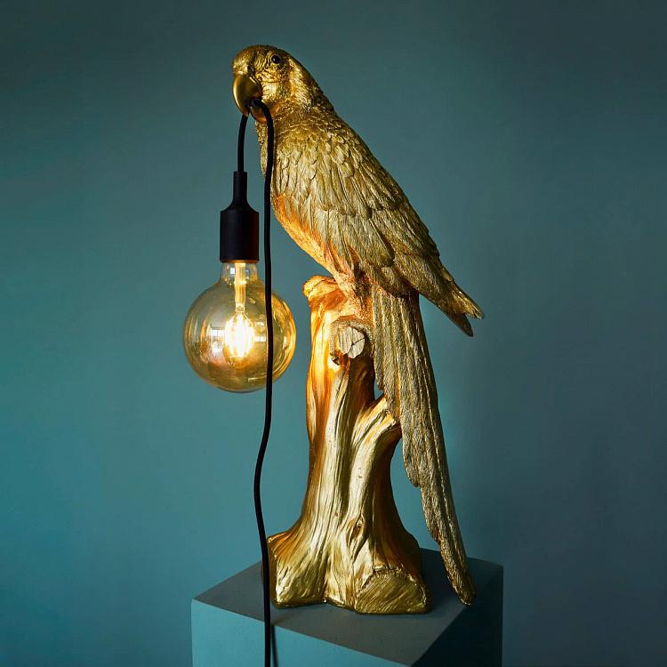 Настольная лампа Попугай Тимми Table Lamp Parrot Timmy