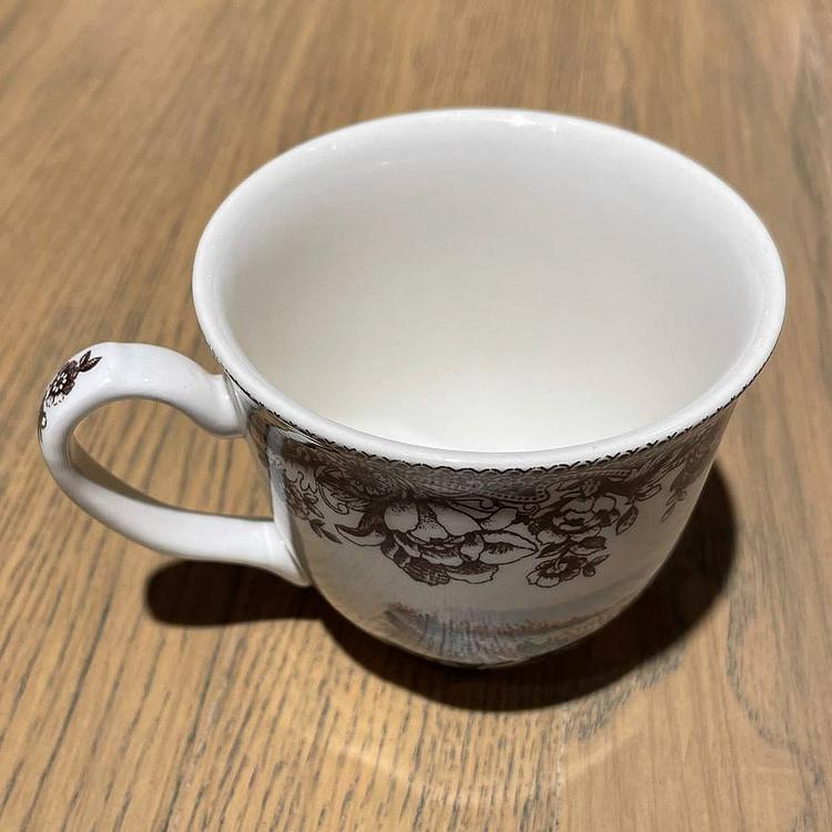 Чайная чашка Волшебная роща Haydon Grove Tea Cup