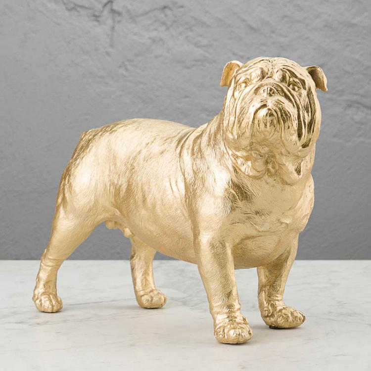 Bulldog Gold