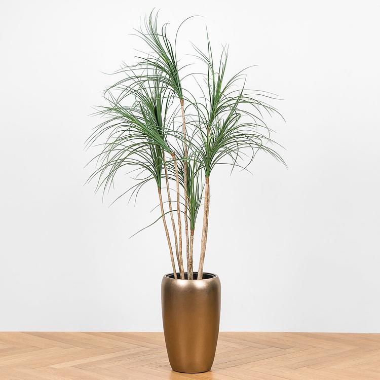 Искусственное дерево Nitida Nolina 150 cm - ракурс 5