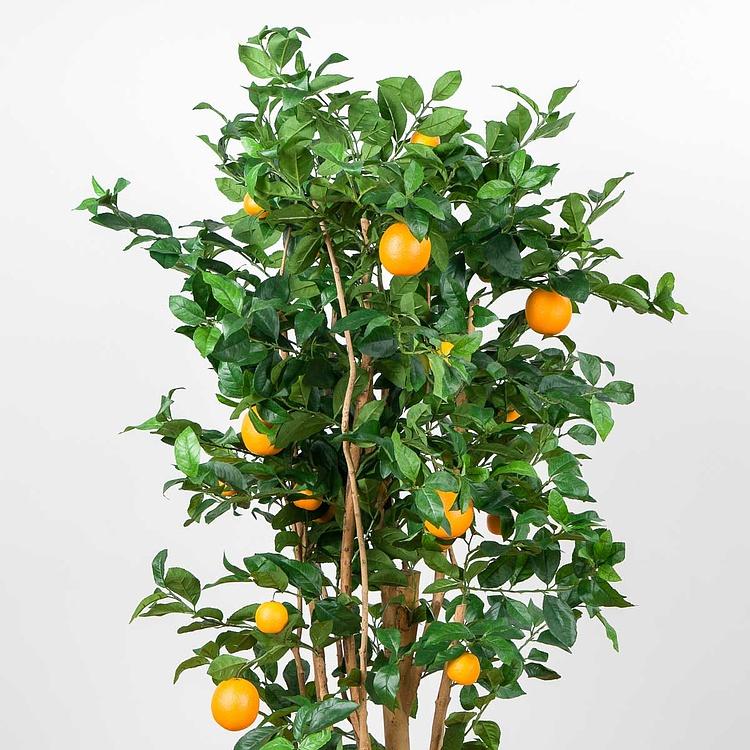 Искусственное растение Orange Tree With Fruits 180 cm - ракурс 3