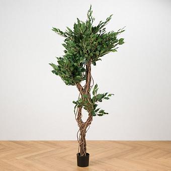 Искусственное дерево Celeste Ficus Benjamina 180 cm