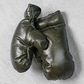 Boxing Gloves RM