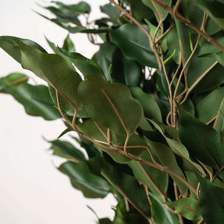 Искусственный фикус Бенджамина карликовый многоствольный Undersized Multi Barreled Ficus Benjamina 100 cm