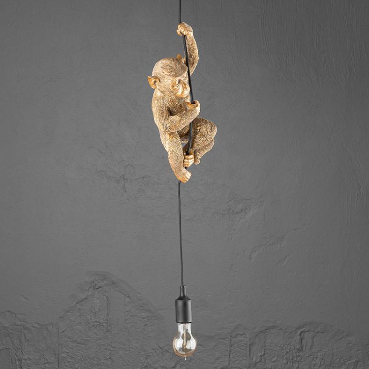 Подвесной светильник Обезьяна Чип Ceiling Lamp Monkey Chip
