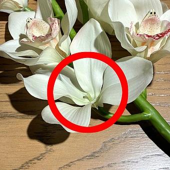 Искусственный цветок Cymbidium Orchid Branch White 67 cm discount - ракурс 3