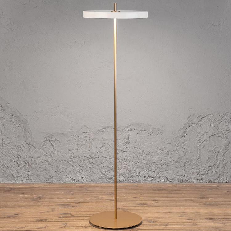 Asteria Floor Lamp
