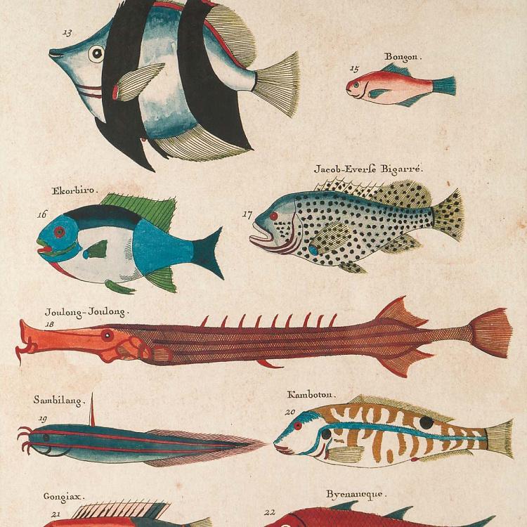 Набор из четырёх картин-принтов Разноцветные рыбки Луи Ренар Set Of 4 Frames Multicolor Fish Louis Renard