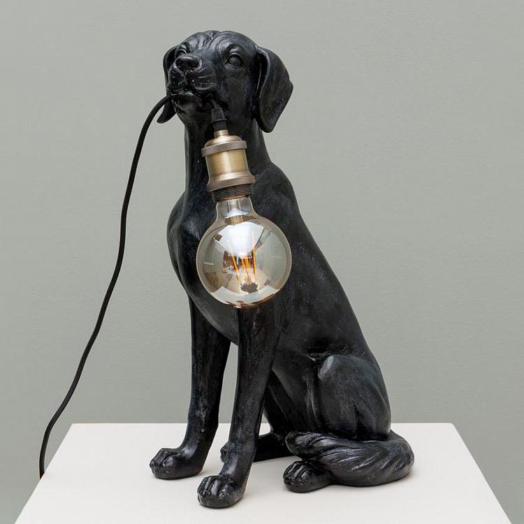 Настольная лампа Хороший пёс Good Dog Table Lamp