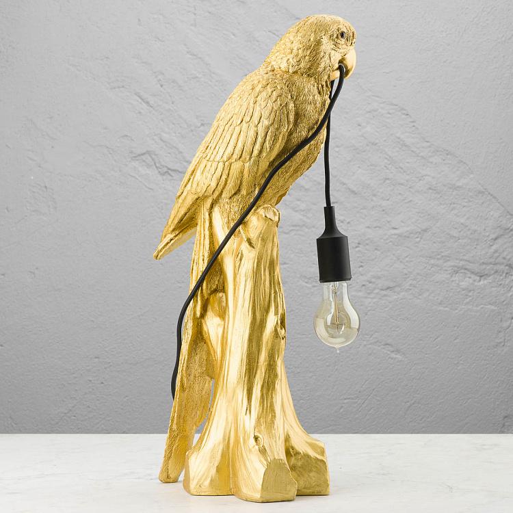 Настольная лампа Попугай Тимми Table Lamp Parrot Timmy