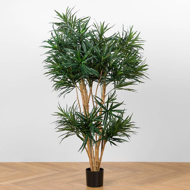 Искусственное растение Anita Dracaena Reflexa 150 cm - ракурс 2