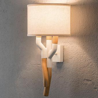 A264 Oakline Sconce