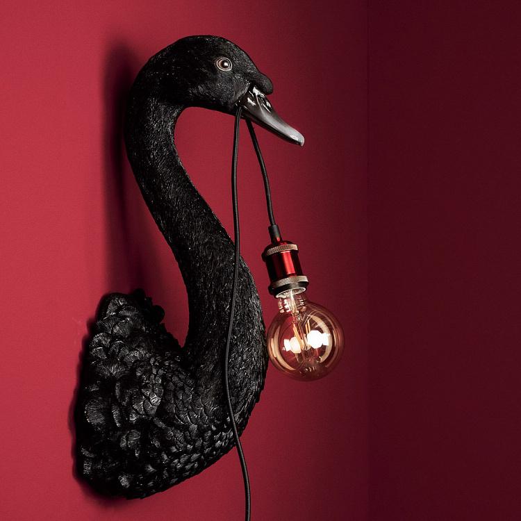 Бра Чёрный лебедь Петра Wall Lamp Petra Black