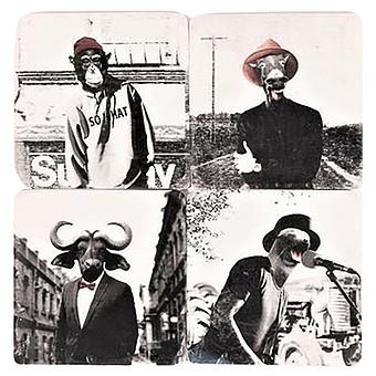 Set Of 4 Stone Coasters Cynocephalus