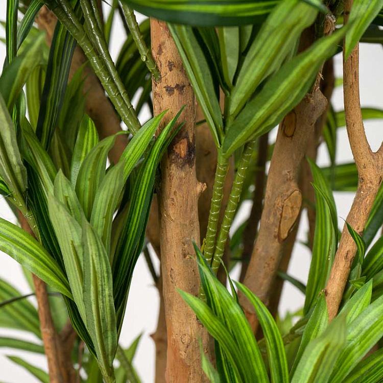 Искусственная ямайская драцена Рефлекса Jamaica Dracaena Reflexa 145 cm