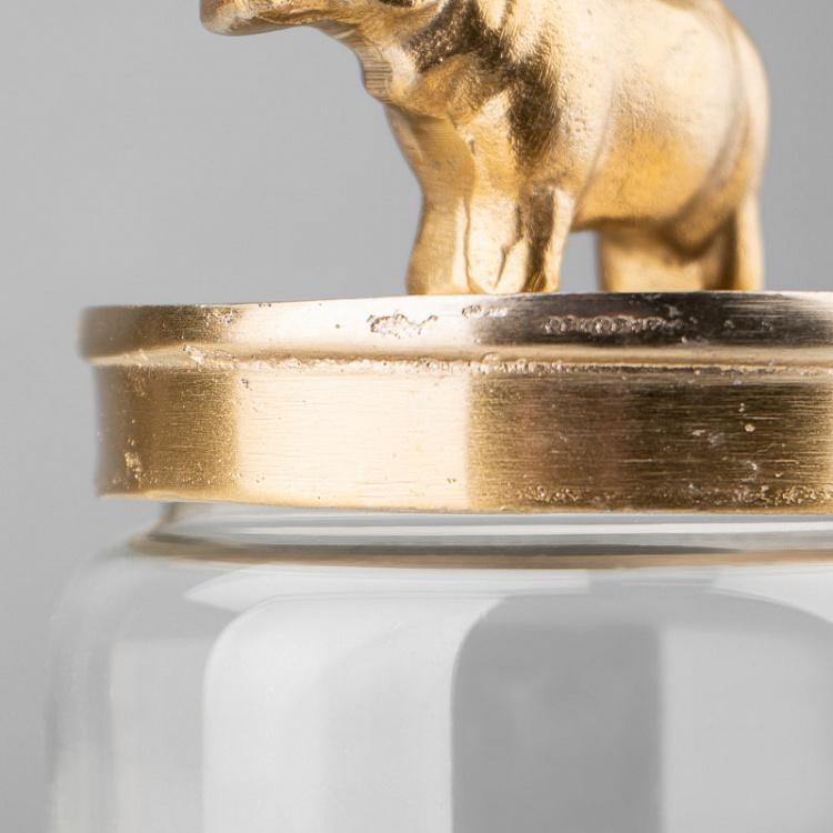 Ёмкость для хранения Золотой бегемот Decorative Jar With Rhino Figure Gold