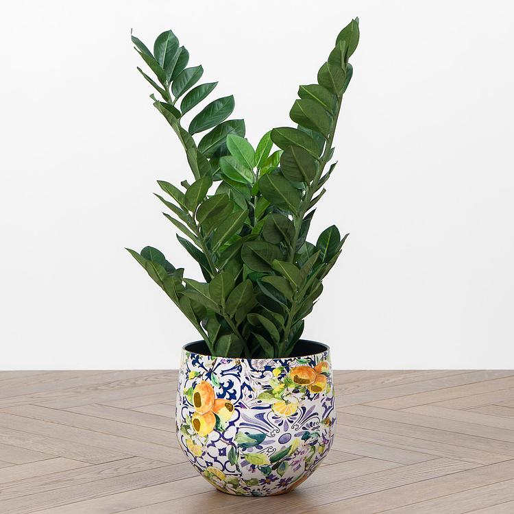 Искусственное растение Zamiokulkas Middle Bush 75 cm - ракурс 6