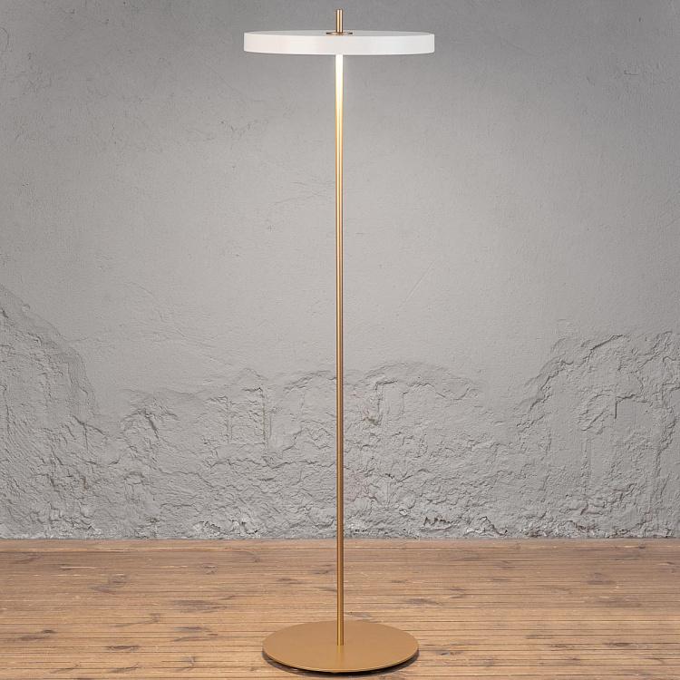 Торшер светодиодный Астерия Asteria Floor Lamp