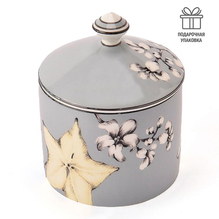 Голубая ёмкость для хранения с карамболой Экзо Exo Box Carambola Blue