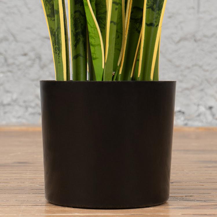 Искусственный куст сансевиерии Sansevieria Bush 80 cm