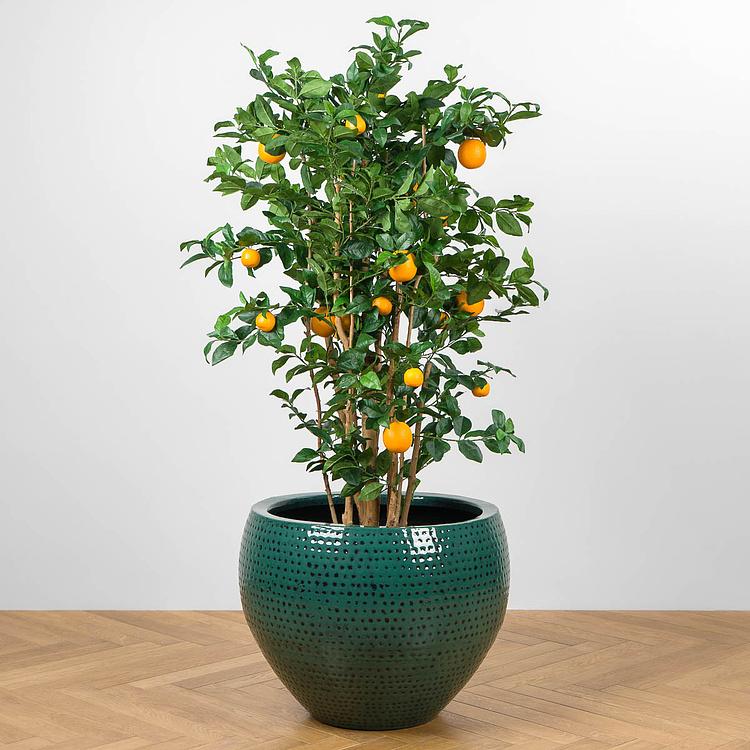 Кашпо Effectory Ron Classic Bowl Pot Jade Large - ракурс 5