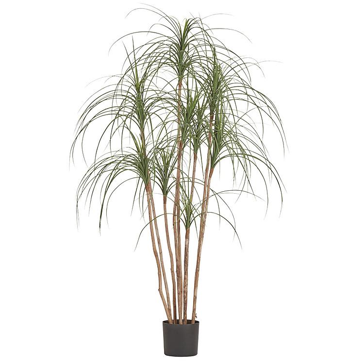 Искусственное дерево Nitida Nolina 150 cm