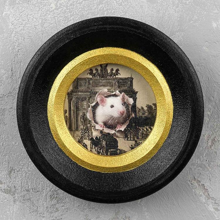 Картина в круглой раме Белая мышка White Mouse Painting In Round Frame