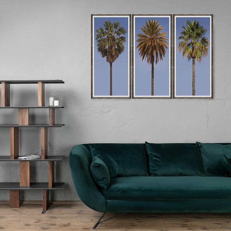 Модульный фото-принт в деревянной раме Высокие пальмы Set Of 3 Tall Palms, Pewter Frame