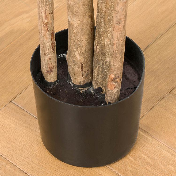 Искусственное дерево Natural Dracaena Reflexa 180 cm - ракурс 5