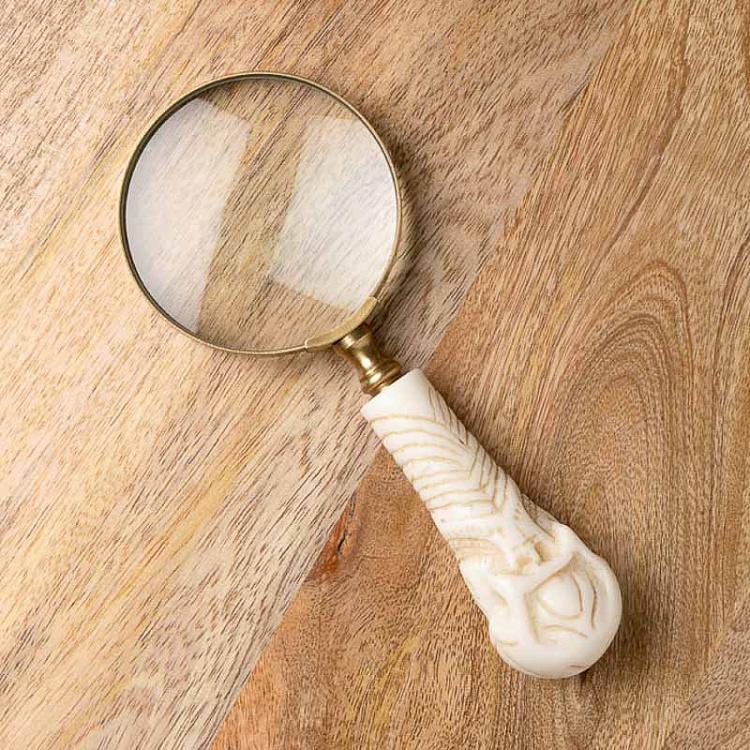 Magnifier With White Skull Handle