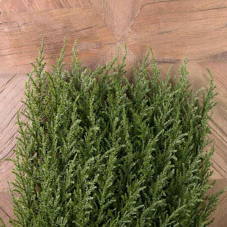 Искусственное растение Кипарис Mat Plastic Cypress Green 75 Leaves