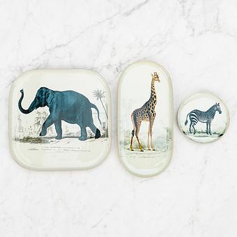 Поднос Safari Elephant Square Tray - ракурс 4