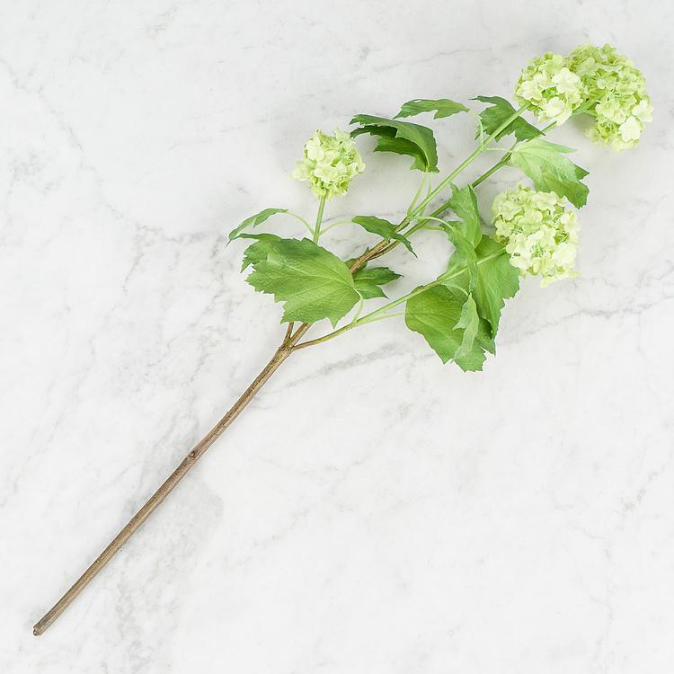 Искусственный цветок Buldonezh Viburnum Light Green 67 cm - ракурс 2
