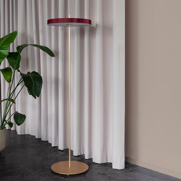 Торшер светодиодный Астерия Asteria Floor Lamp